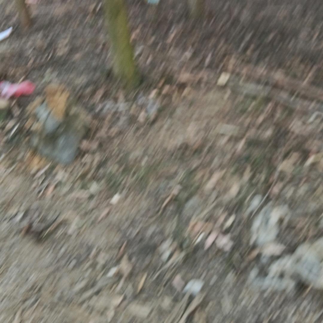 秋水怡人呀！