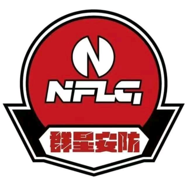 群星安防