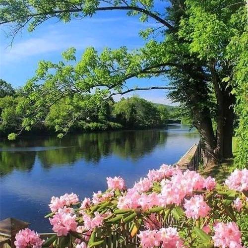 努力🎤钱行🎤🎤