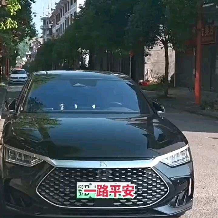 （天柱）龍