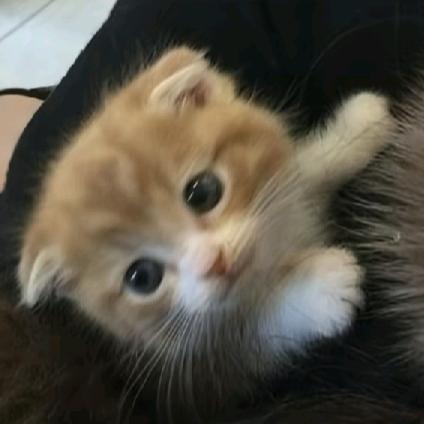 ♪♫♩♬