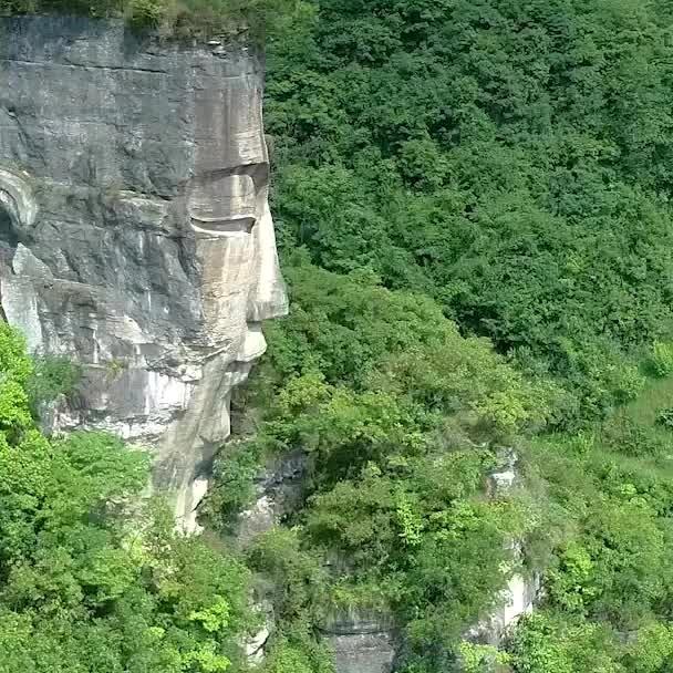 启刚