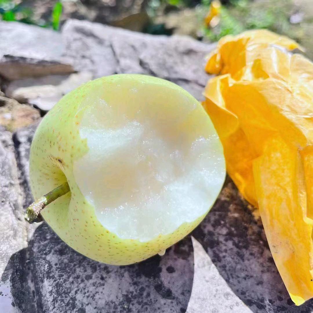 锋月巴东土货精选