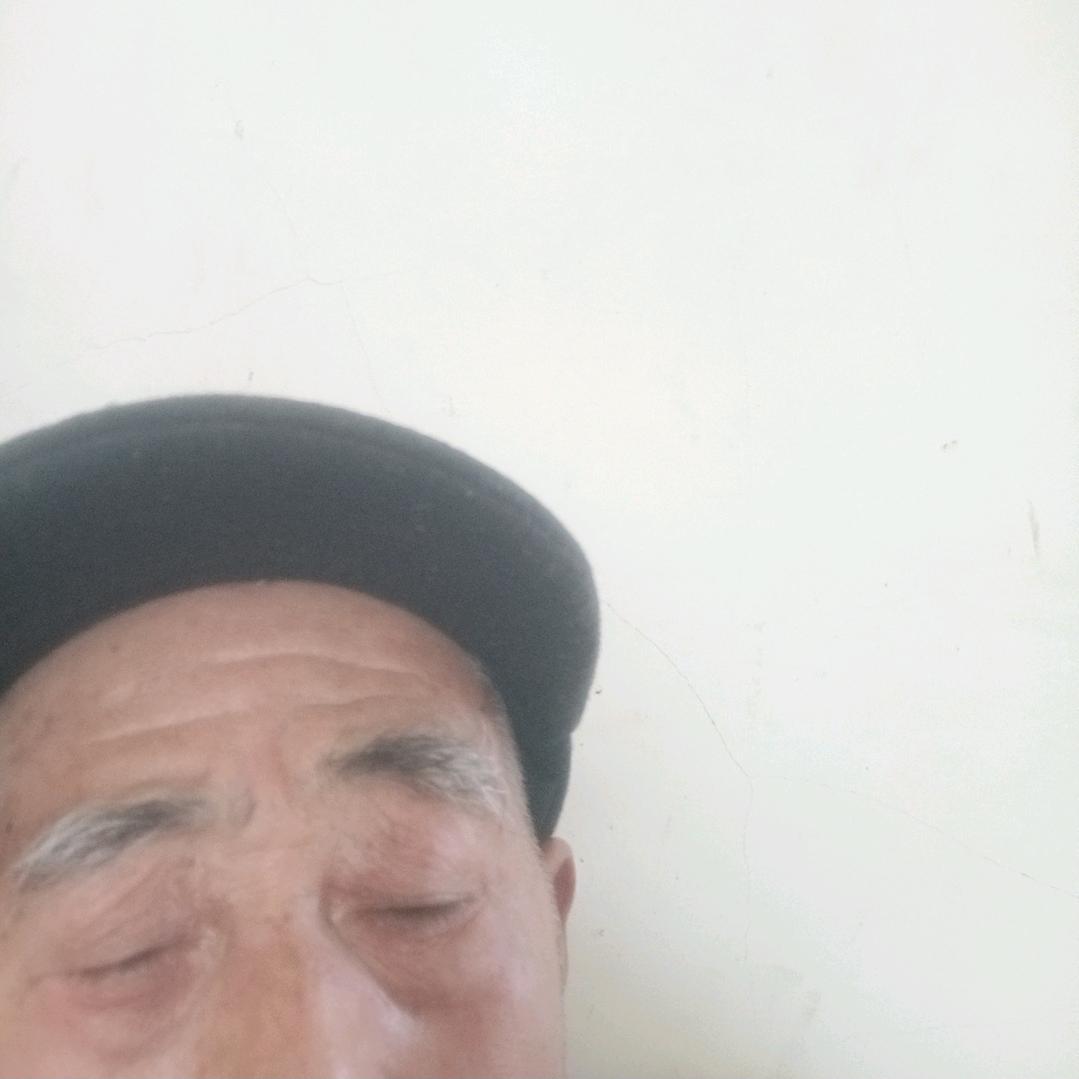心碎小猫咪