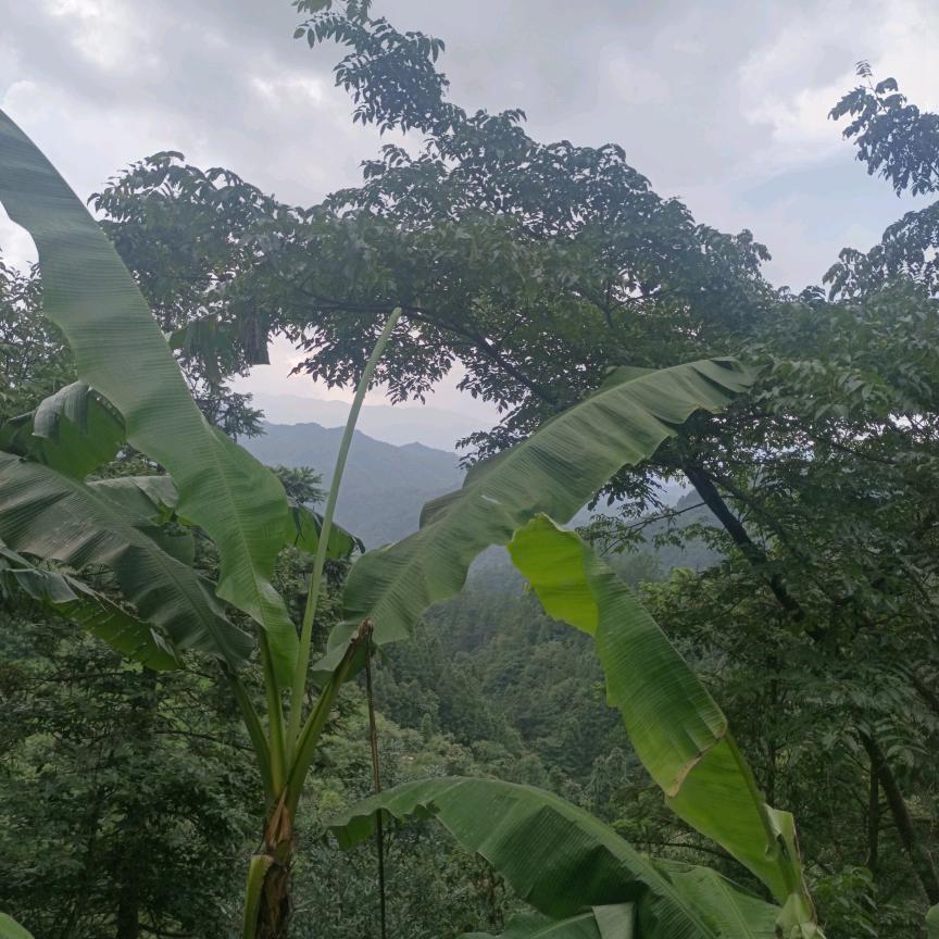 华盛石业（集团）
