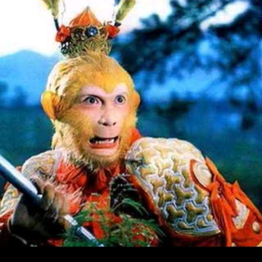 🐒齐天大圣🐒