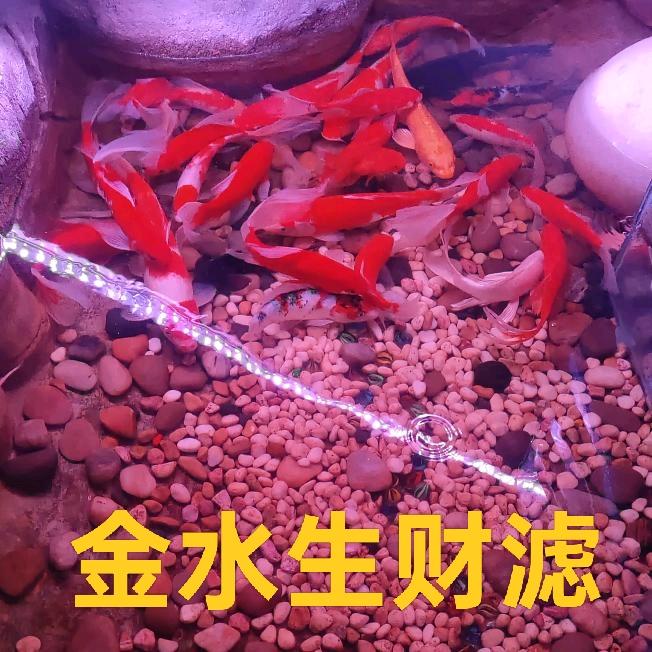 鱼缸专用过滤网《告别反复洗棉》