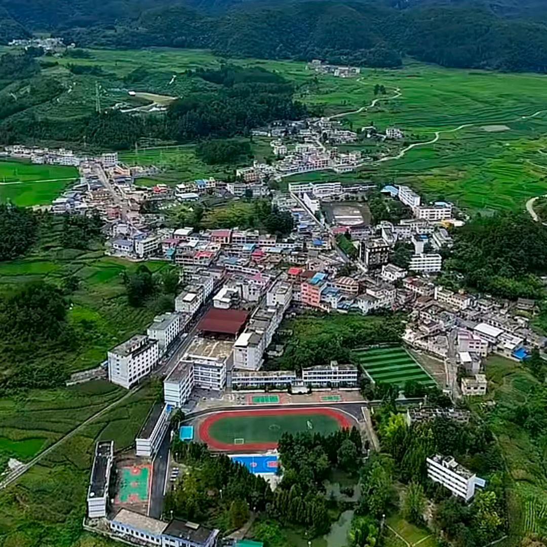 飞龙