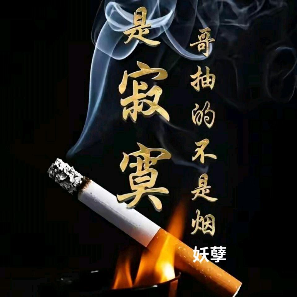 巡游天下