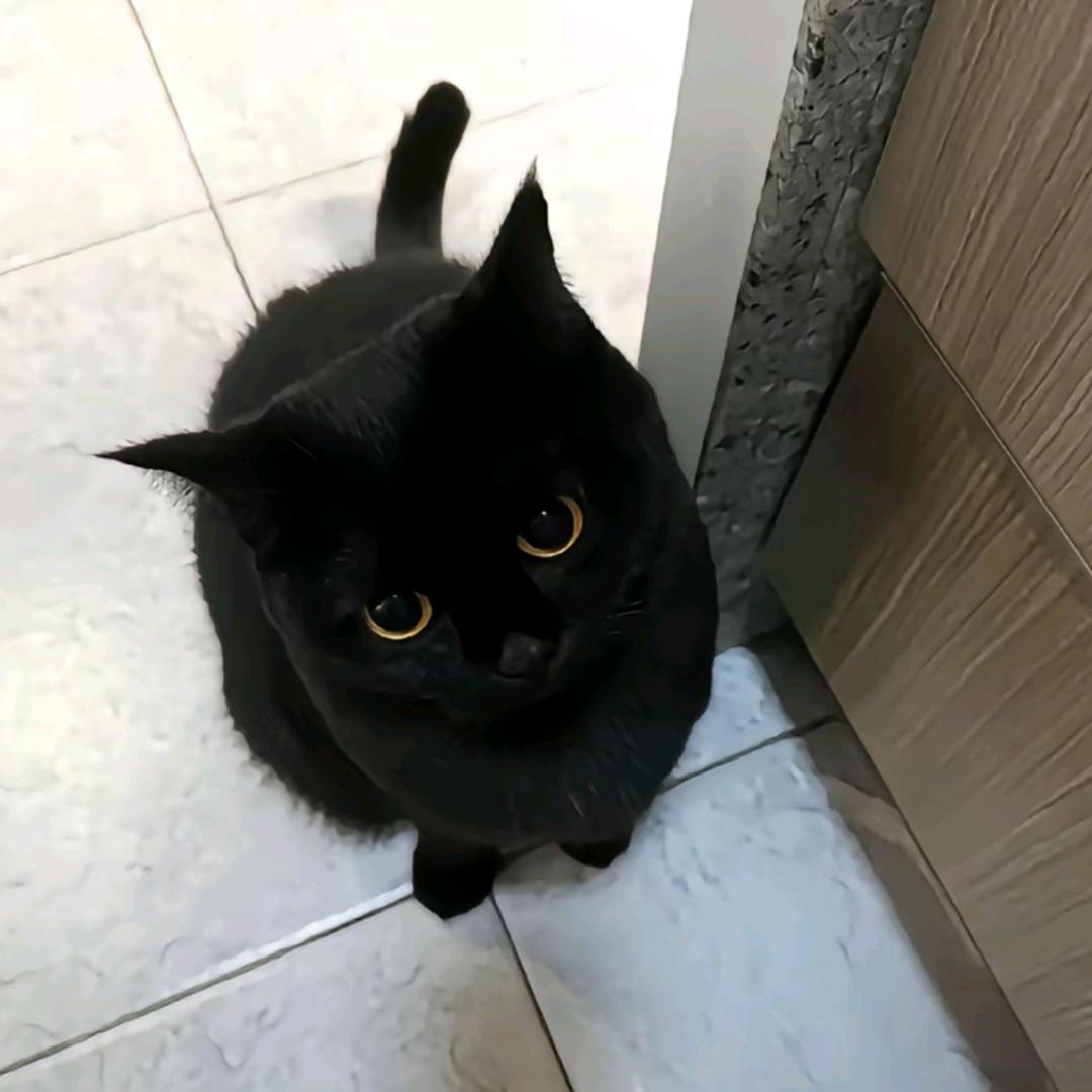 碎碎碎碎碎碎碎冰冰冰