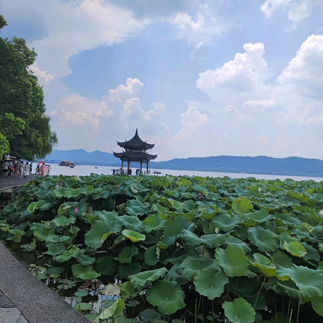 汤圆