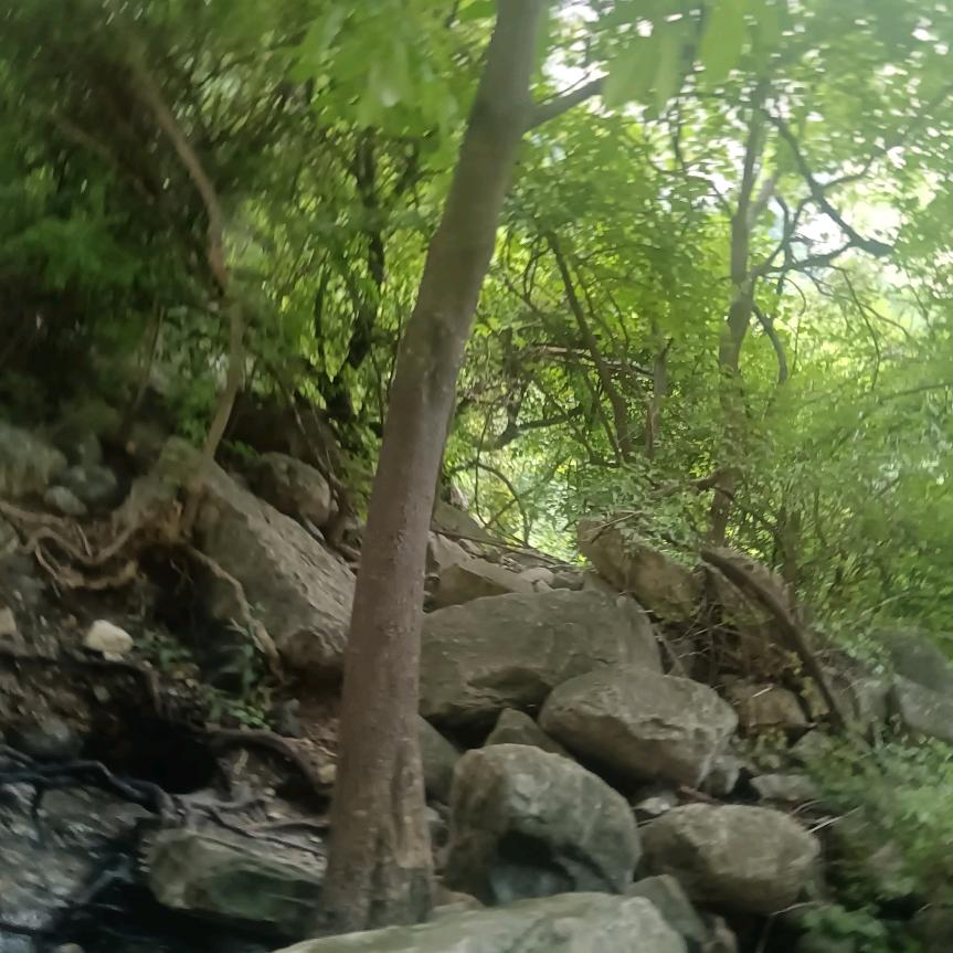 生生不息