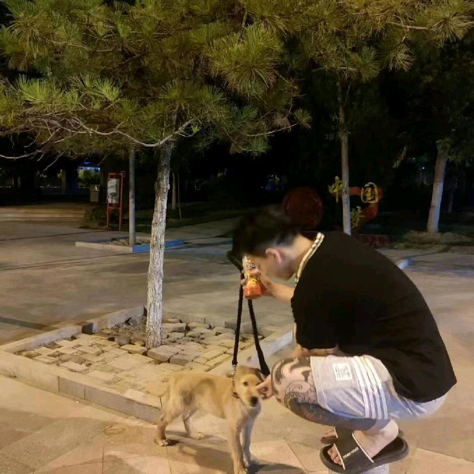 邯郸酒吧商K王子博