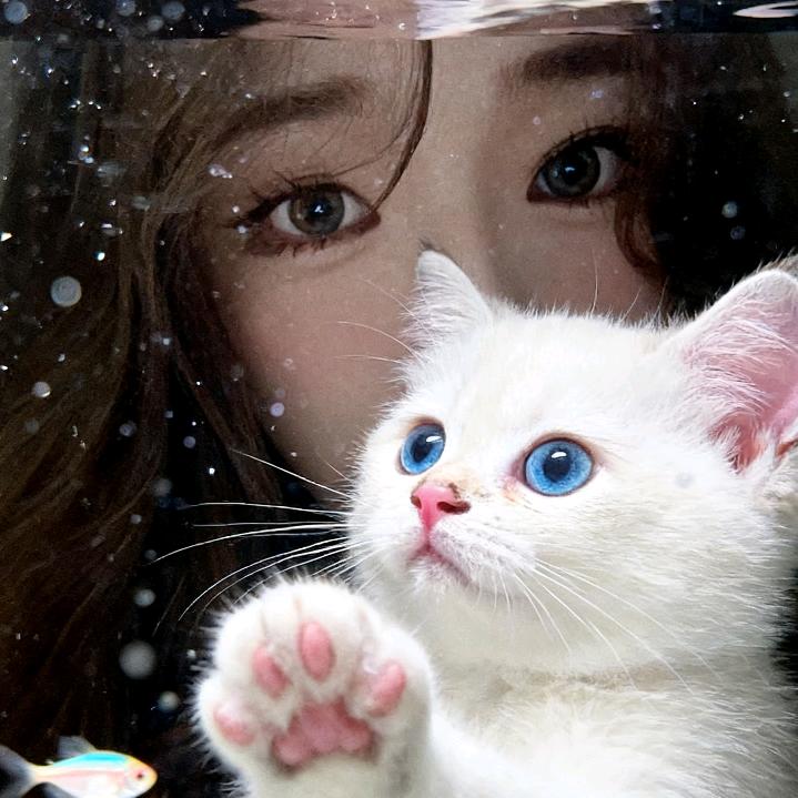 玉衡