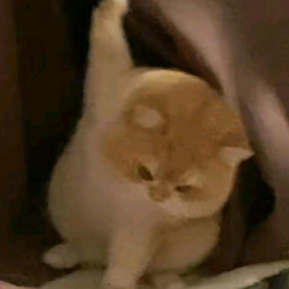 余地