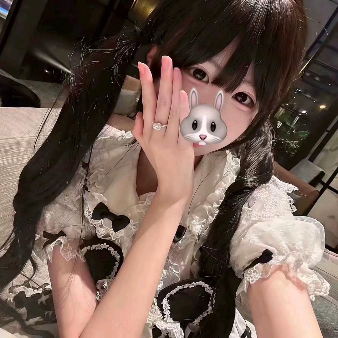 呆呆熊