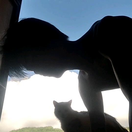 何风起