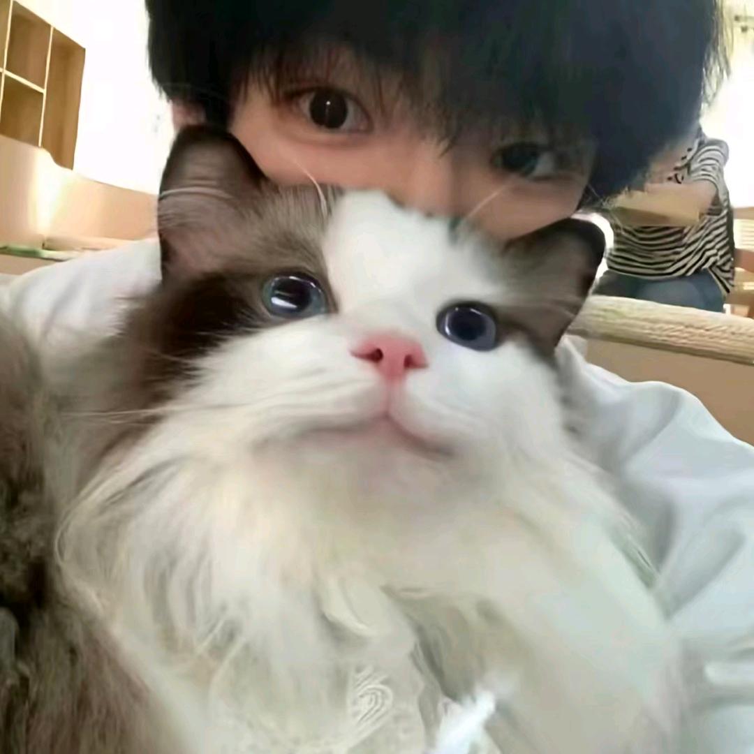 冬至一阳生