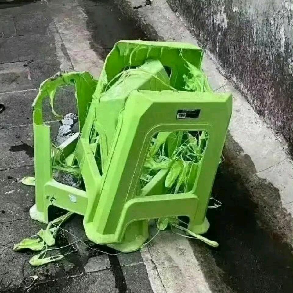 柚子.