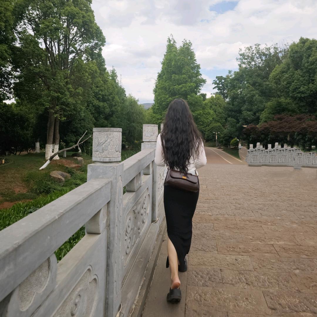 阳光下的薰衣草