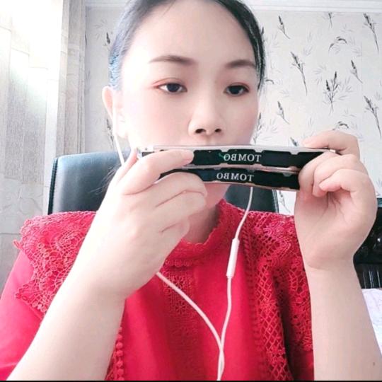 心语琴音 口琴