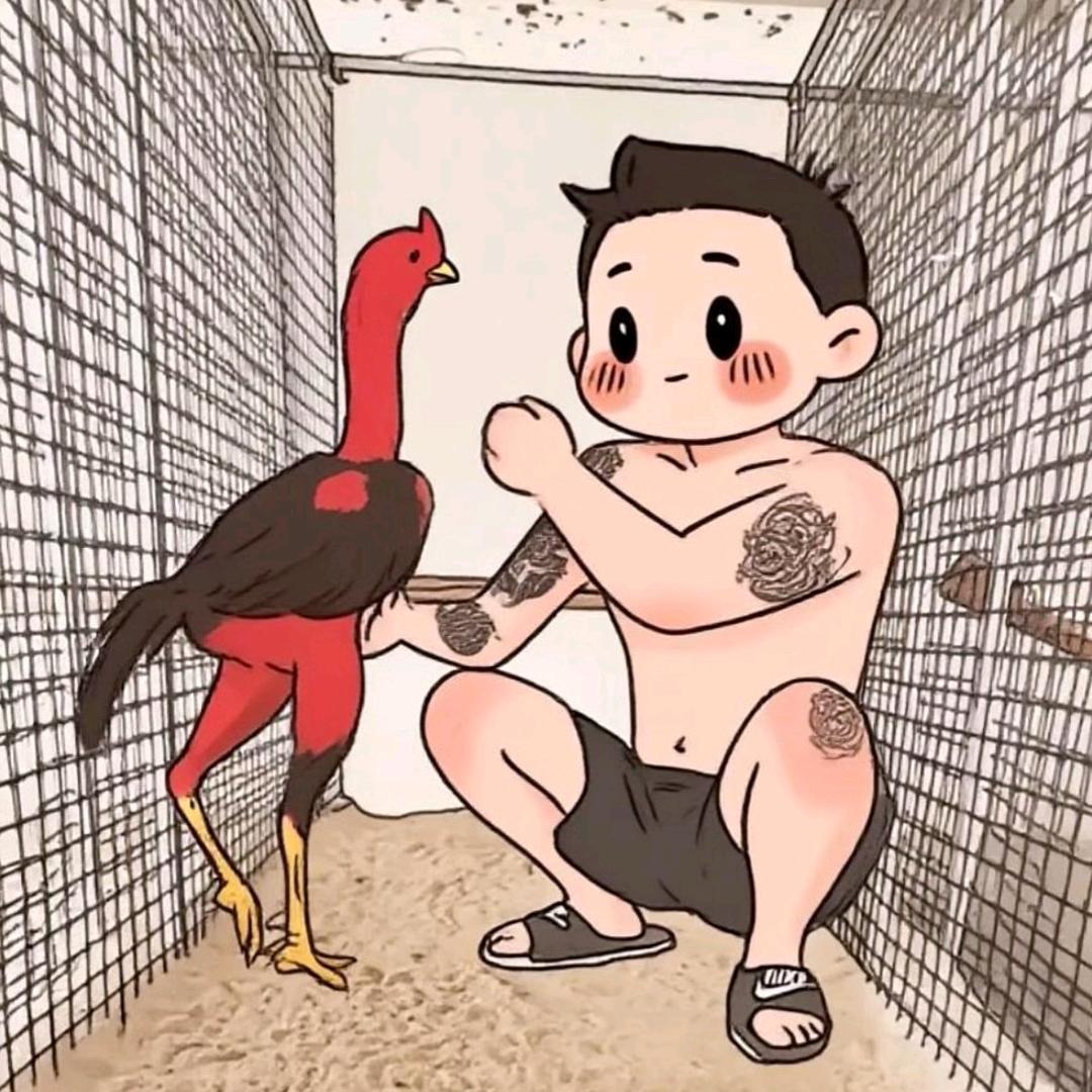 马大哈<斗鸡养殖
