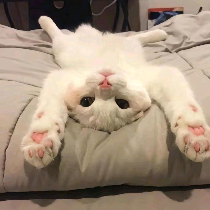 忆安_