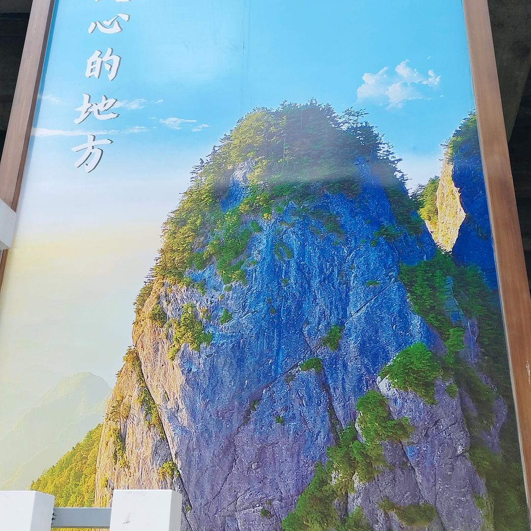 彼岸花的春天