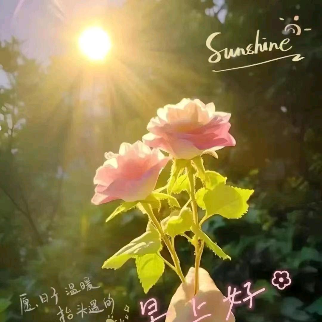 奶油泡芙