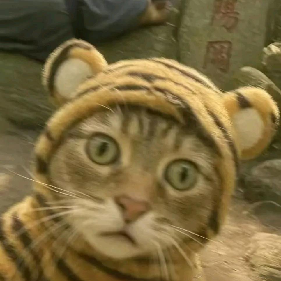 🐯