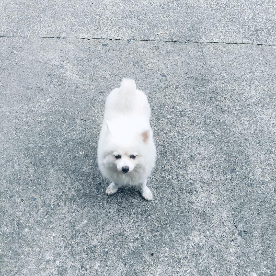 坚持就是胜利