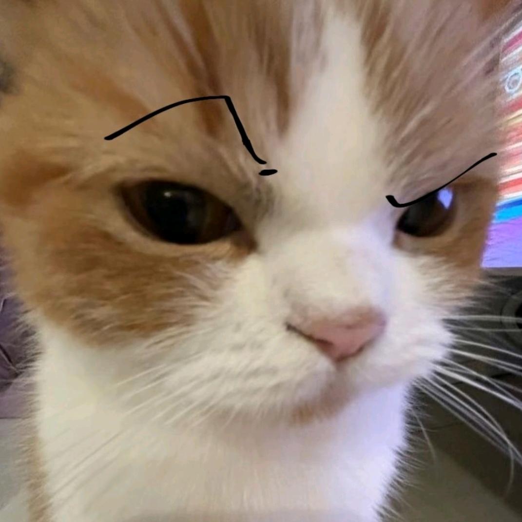 不要小看兔子
