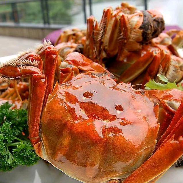 原味纯牛奶🥛（黄世贵）