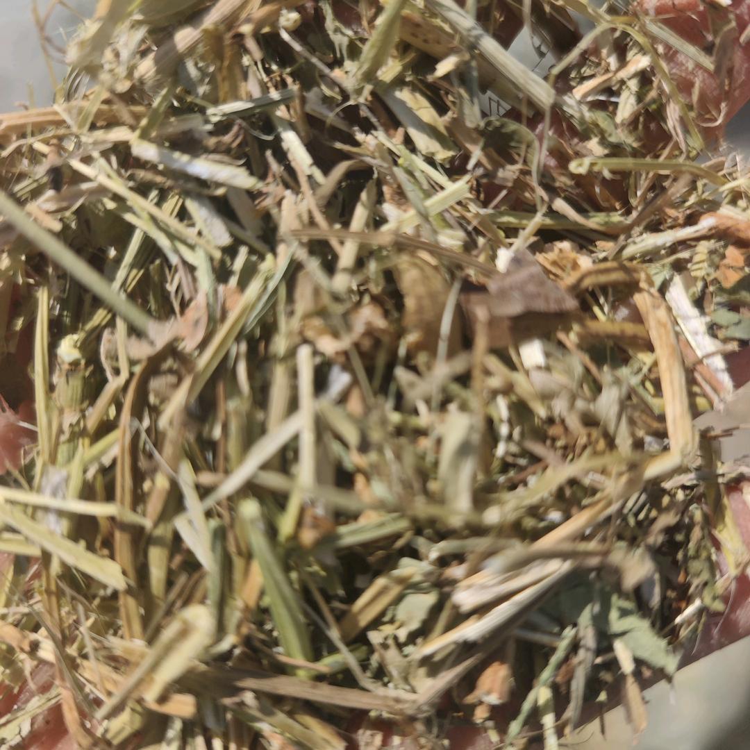 周口艳涛草业有限公司