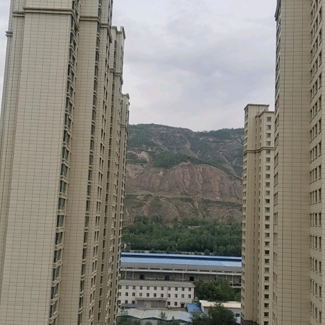 行