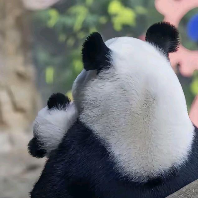 斗金