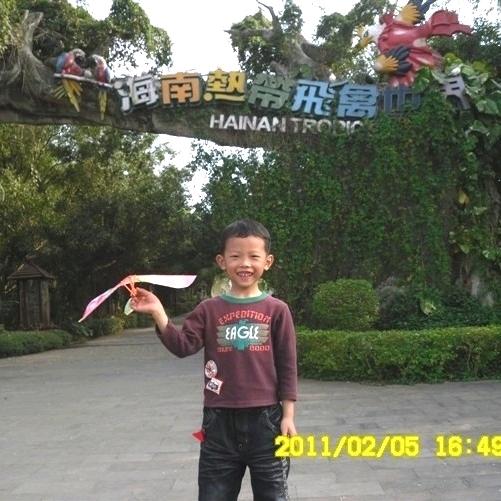 就叫杨鼻鼻