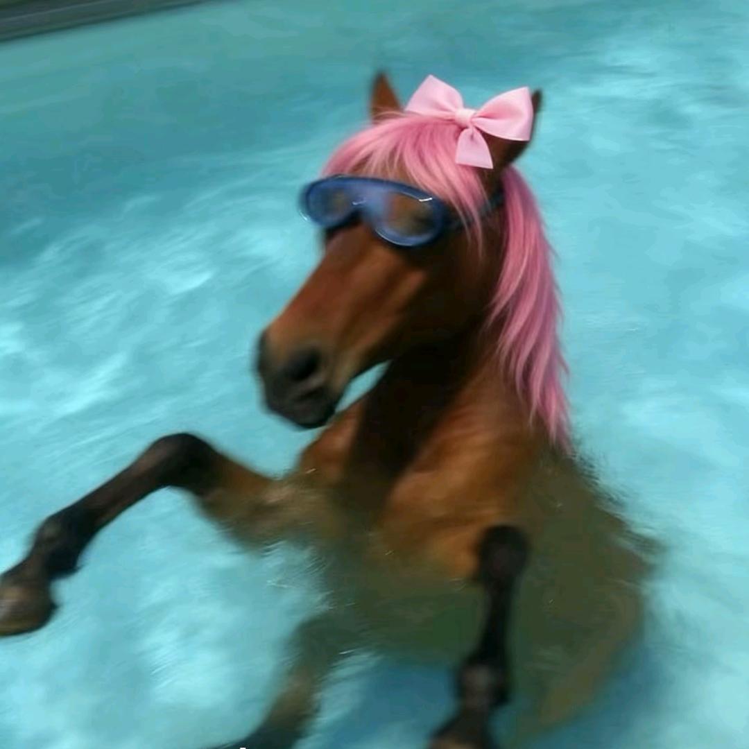 对不起美到你了🥕