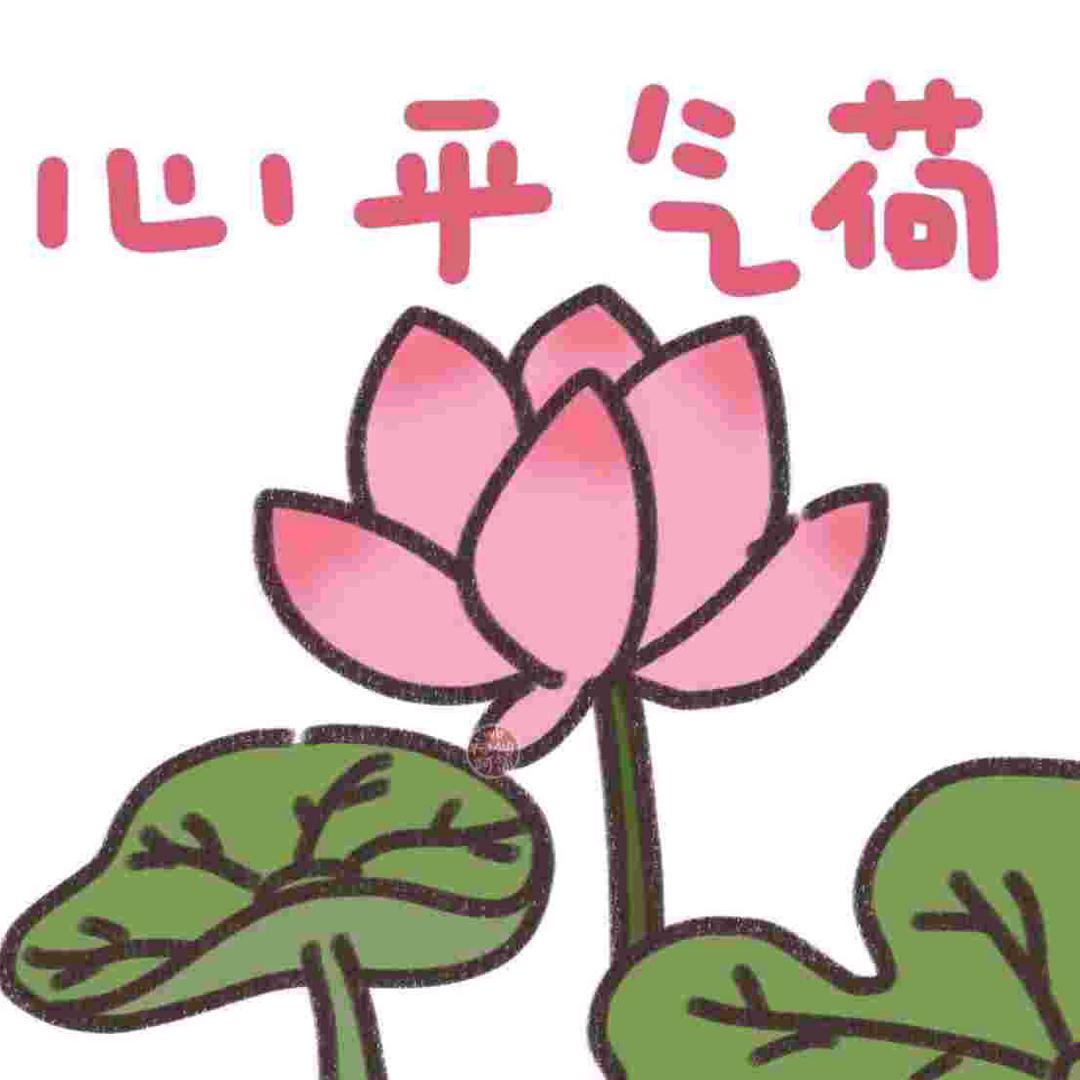 ཽ心宽财来ཽཽ