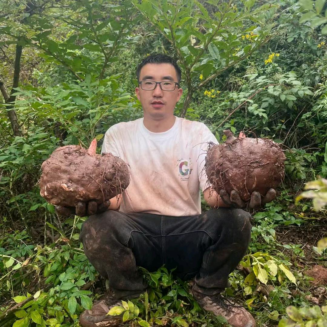 毕节腾峰农产品优选店