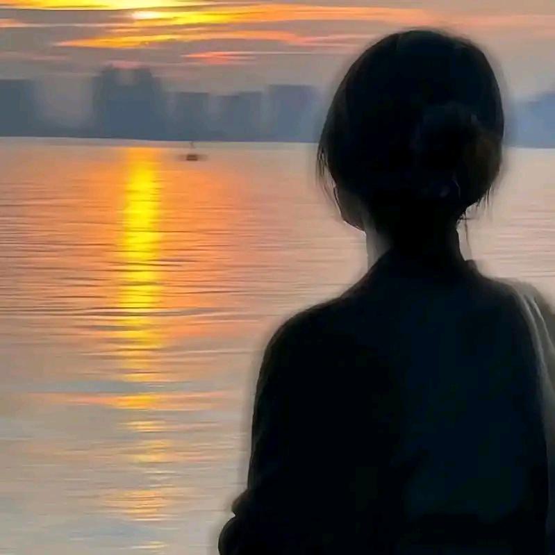 浪迹种太阳