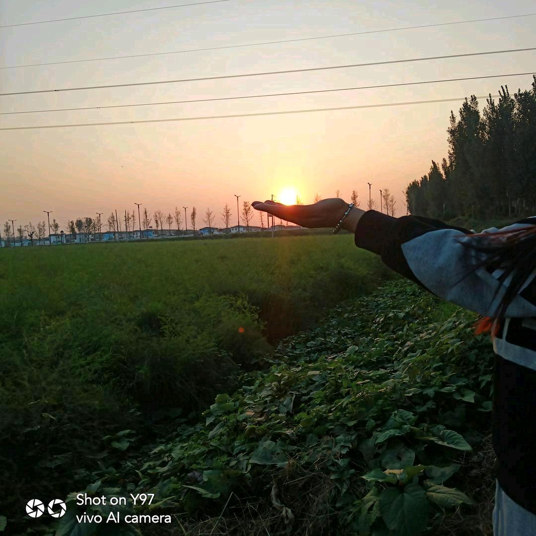 小柠檬