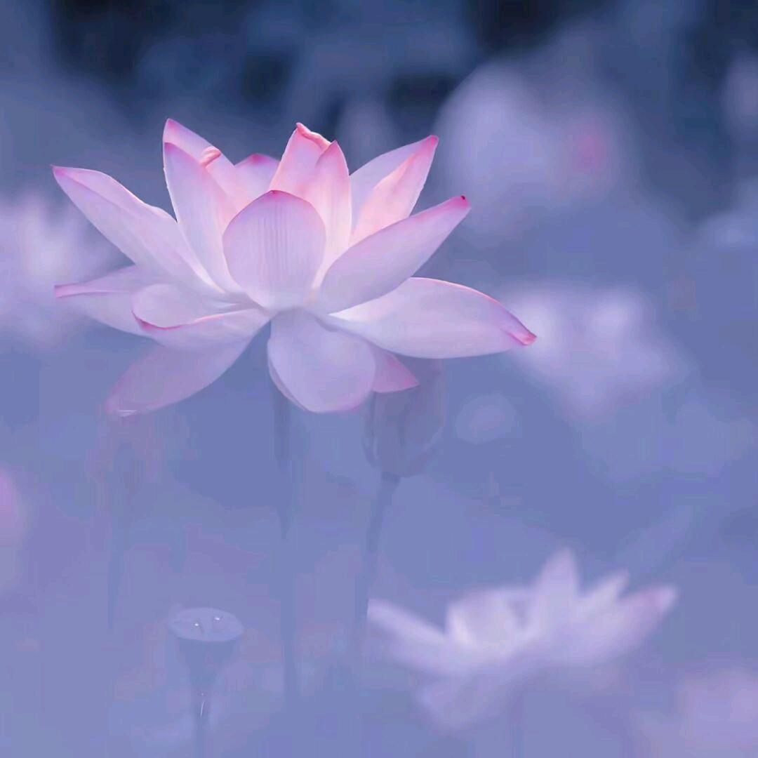 潘文豪
