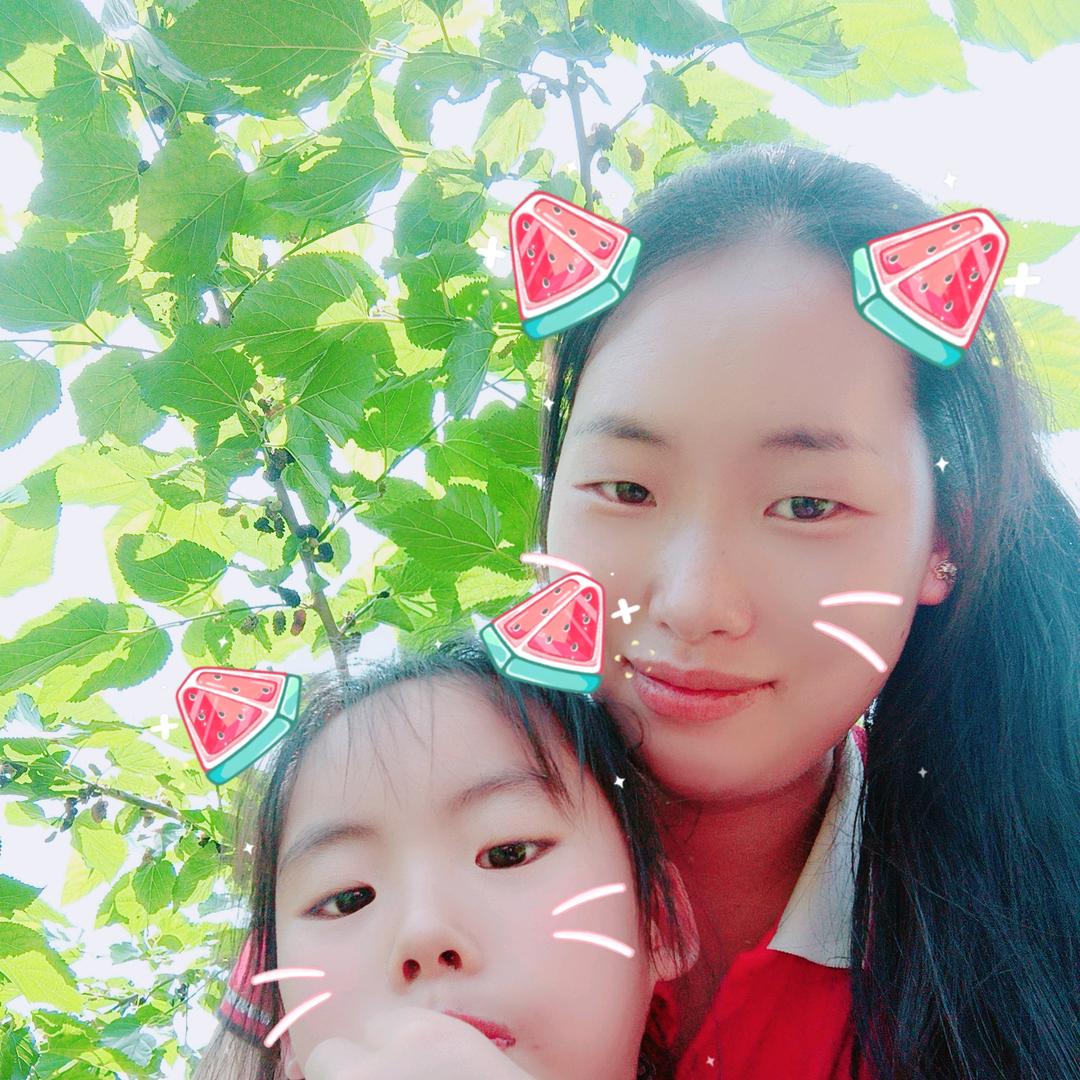 随风随缘