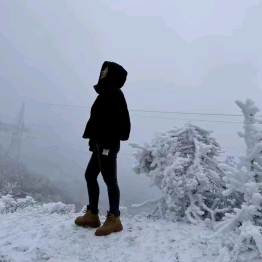 愿