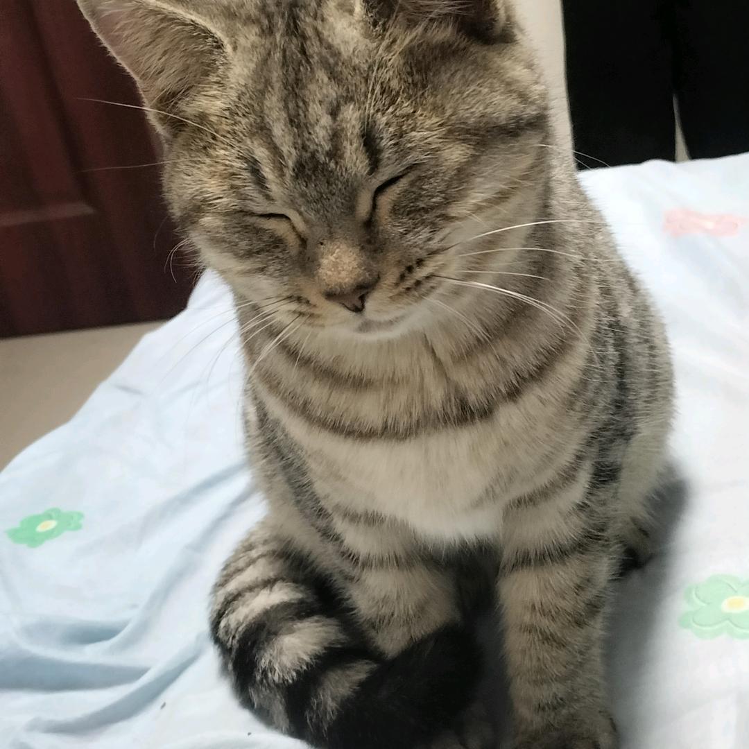 北辰夜凉悠