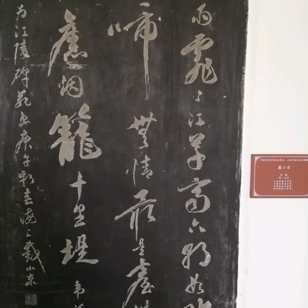 竹林