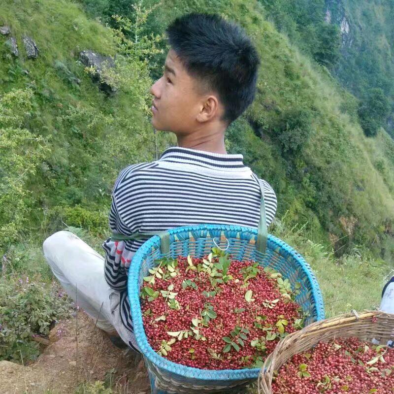 专门收拾🍉蛙资