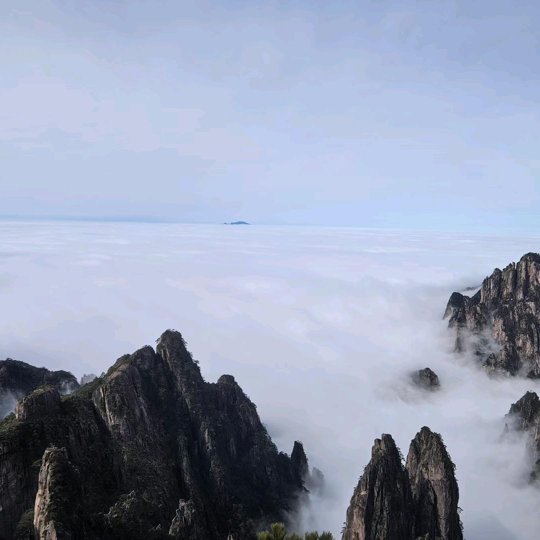 红尘来去一场梦