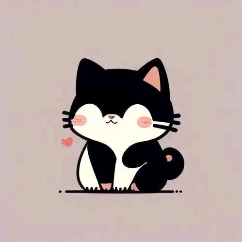 花样年华的年纪